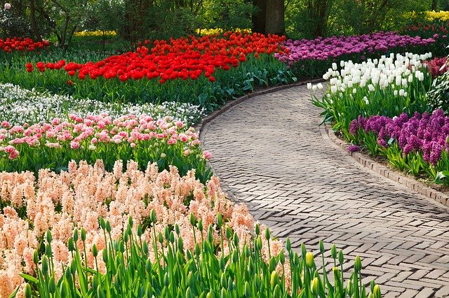 Weiß, Rot, Tulpen und Lilien sowie rosa und violette Hyazinthen